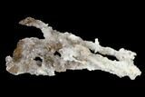 Calcite & Aragonite Stalactite Formation - Morocco #136285-1